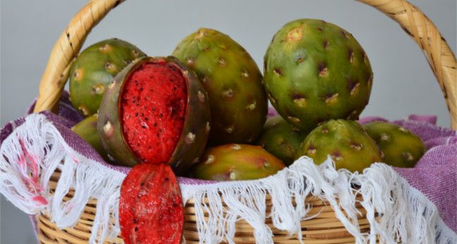 Pitaya, jiotilla y xoconostle: riqueza ancestral