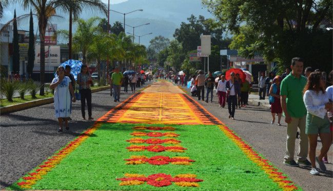 Alfombras policromas